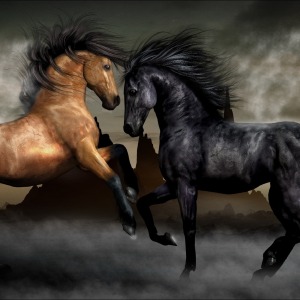 CİFT HORSE